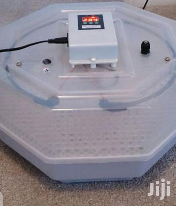 Top Advanced 60 Egg Incubator - main view