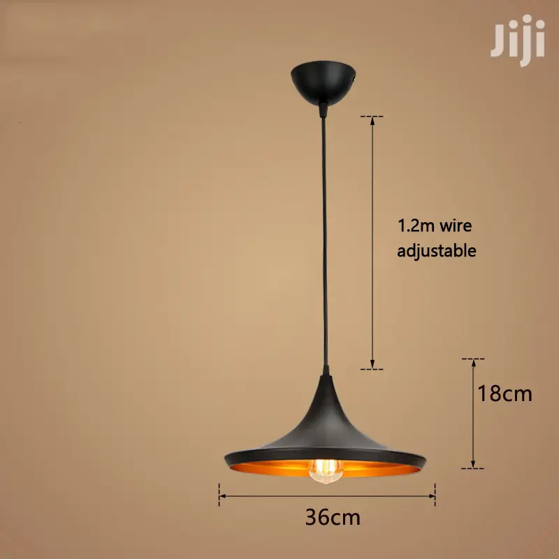 Horn Shape Pedant Hanging Light