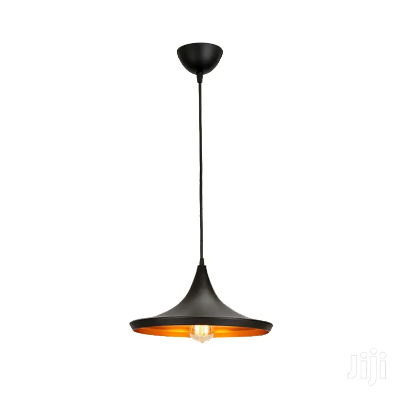 Horn Shape Pedant Hanging Light