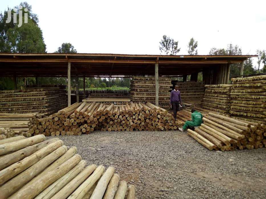 Best CCA Treated Poles for Fencing in Kenya