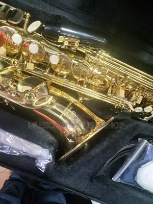 Alto Saxophone