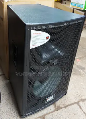 15 Inch Jbn Wooden Speakers P115