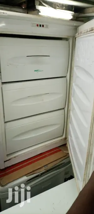 Mini Upright Freezer