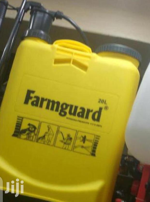 Valuable Knapsack Sprayer Pump - main view