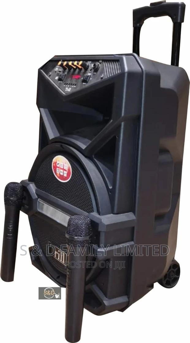 Trill D250 12" Plastic Powered Speakers - main view