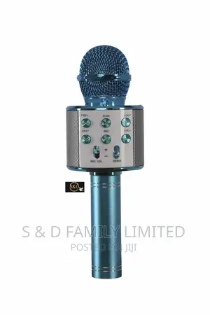 Karaoke Microphone