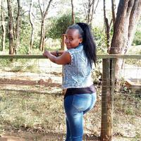 Murugi Tabby Murugi Tabby logo