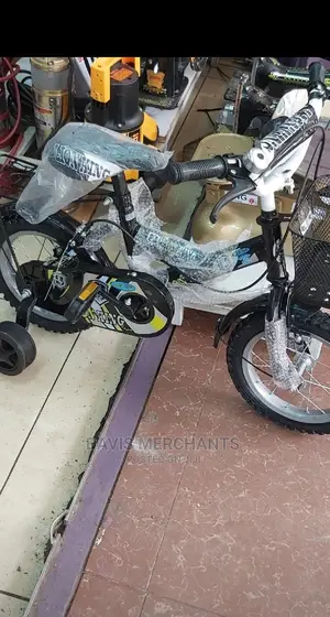 BICYCLE Size 16