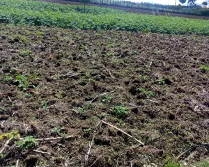 A Plot on Sale at Ihindu Naivasha