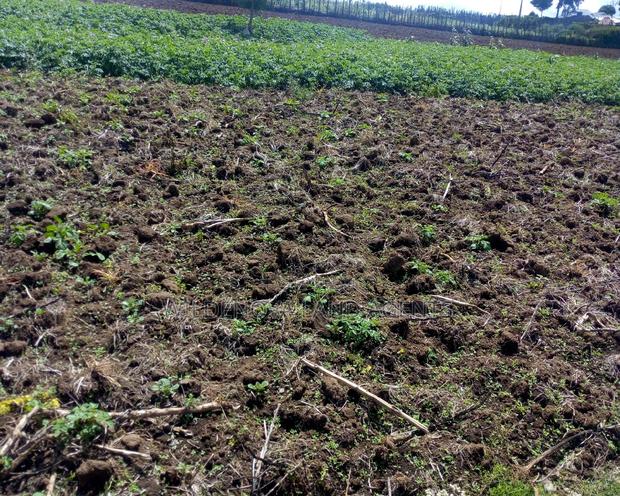 A Plot on Sale at Ihindu Naivasha - thumbnail 2