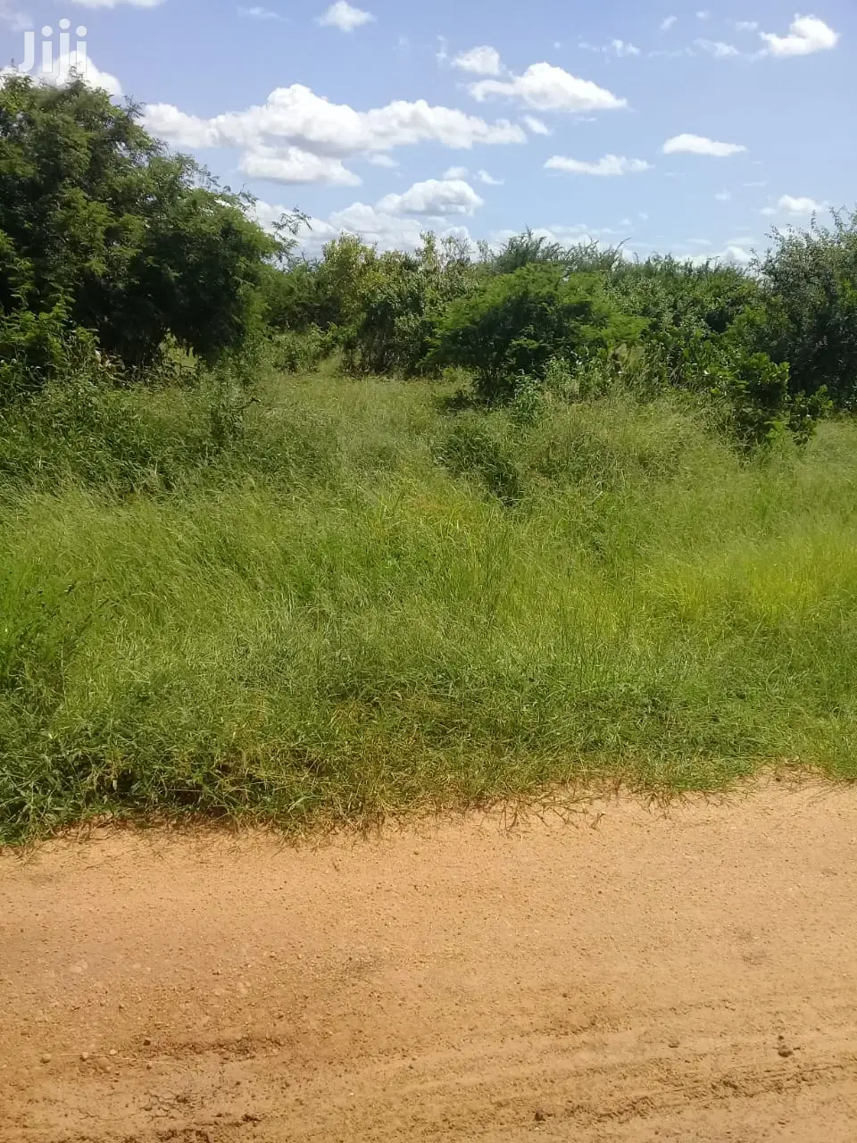 Kilifi County Malindi 20 Acres for Sale in Malindi Land & Plots for Sale, Joel Jiji.co.ke