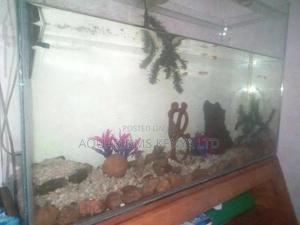 Custom Made Aquariums - thumbnail 2