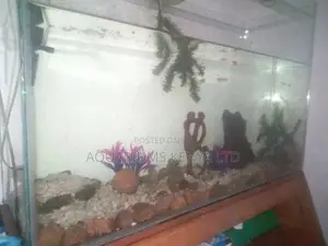 Custom Made Aquariums