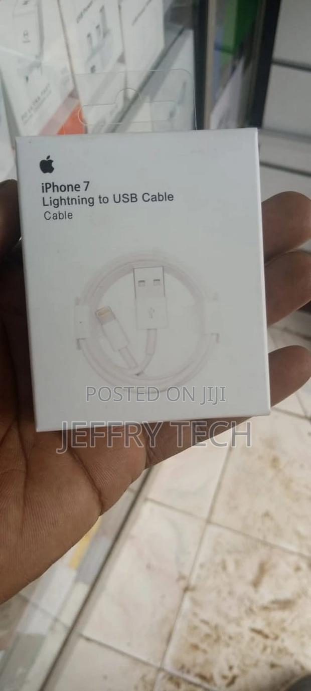 iPhone 7 Original Cable Lightning To USB Cable - main view