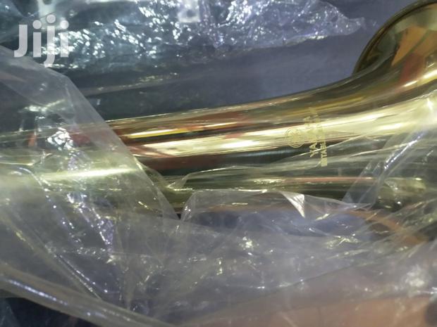 Fluglehorn - main view