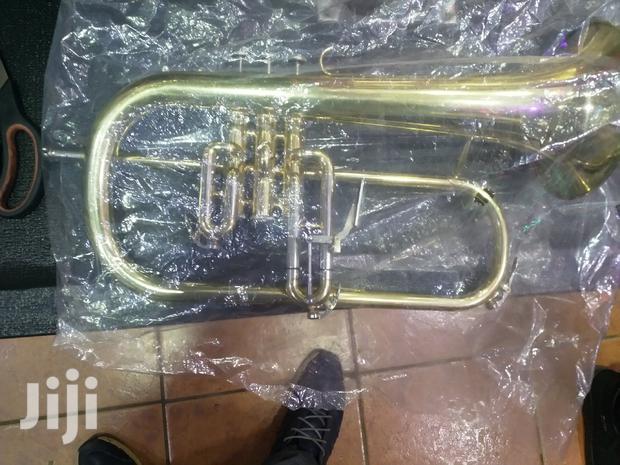 Fluglehorn - thumbnail 3