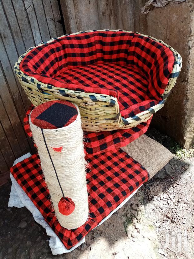 Cats Scratching Pole - main view