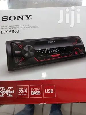 Sony Dsx_a110u