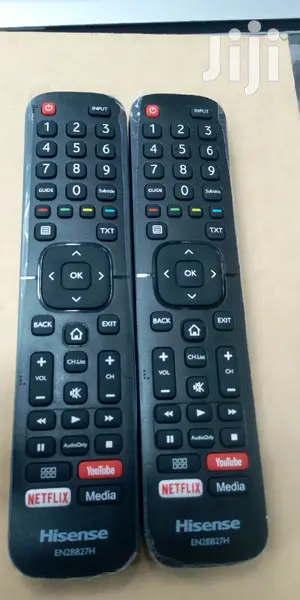 Hisense EN2BB27H Smart Remote