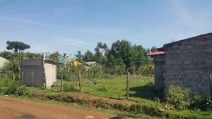 1/4 Plot Kimumu /Betterfarm in Good Location With Title - main view