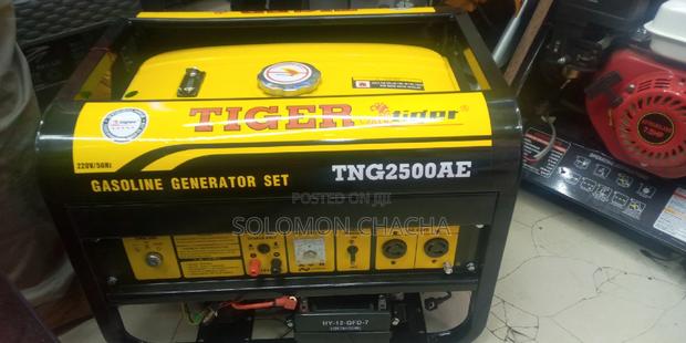 Tiger 5.5kva Generator Keystart - main view