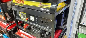 Tiger 4stroke Petrol Generator Set 5.5kva