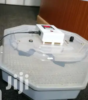 Brand Latest 60 Egg Incubator