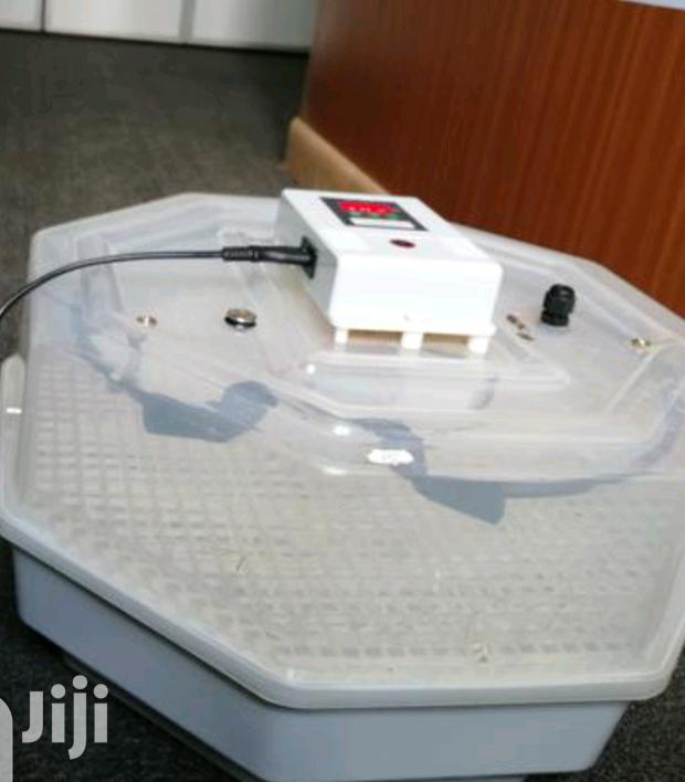 Brand Latest 60 Egg Incubator - main view