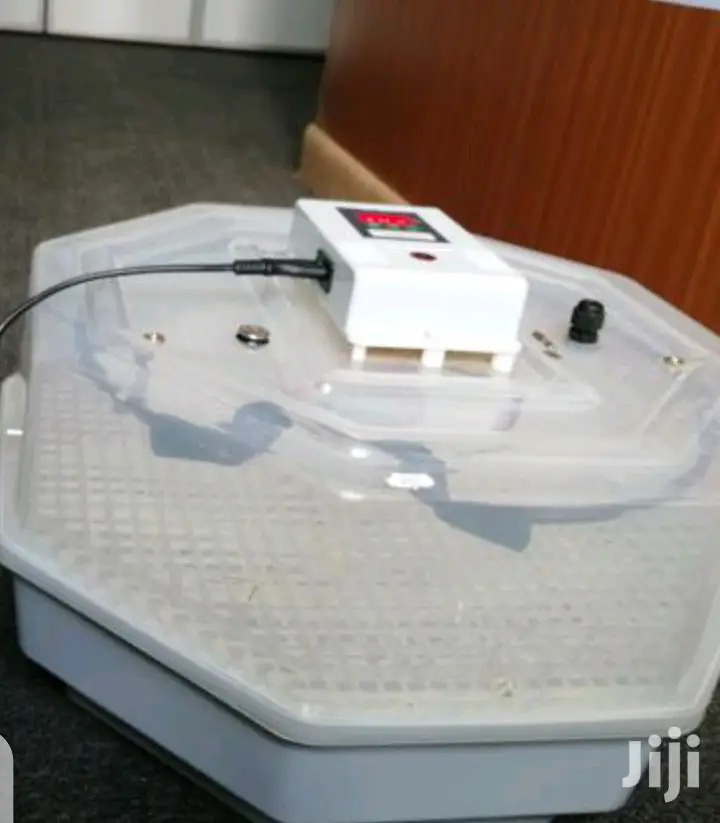 Brand Latest 60 Egg Incubator