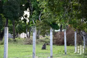 350/-K Land on Sale at Tezo Kilifi Coast