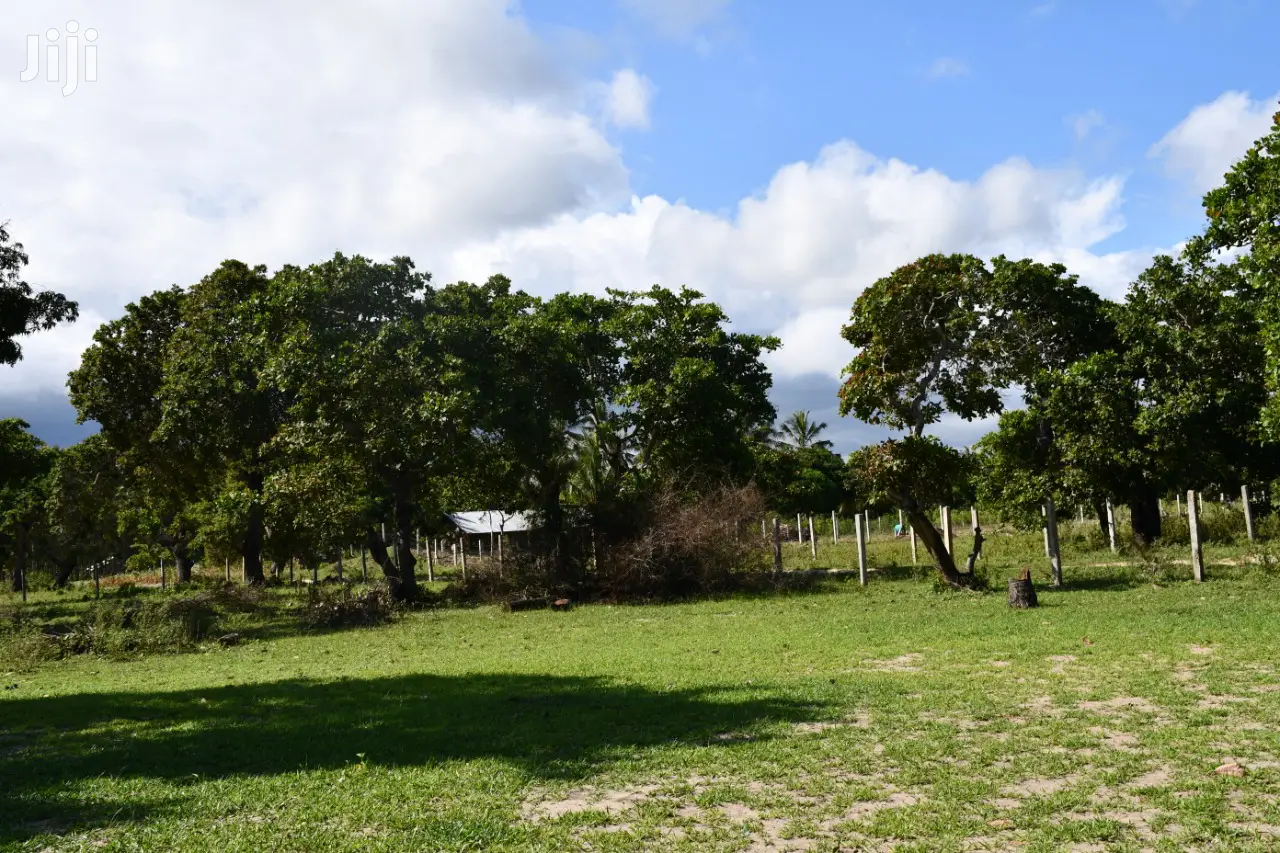 350/-K Land on Sale at Tezo Kilifi Coast