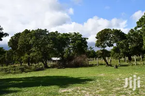 350/-K Land on Sale at Tezo Kilifi Coast