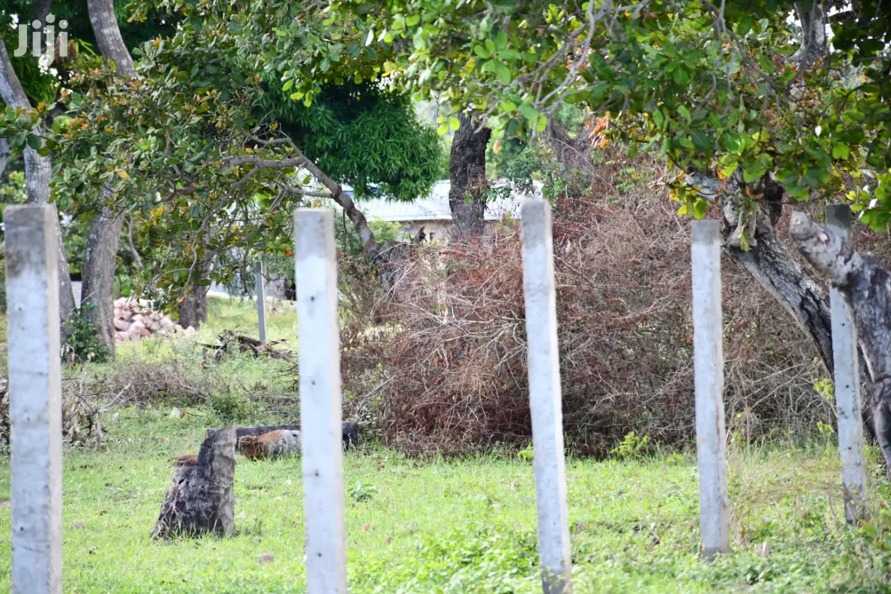 350/-K Land on Sale at Tezo Kilifi Coast