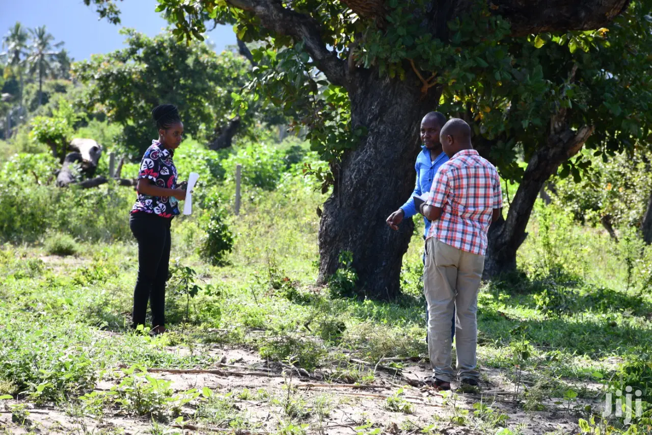 350/-K Land on Sale at Tezo Kilifi Coast