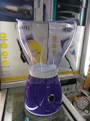 Facial Steamer