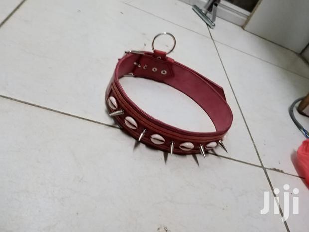 Custom Made Leather Dog Collars - thumbnail 4