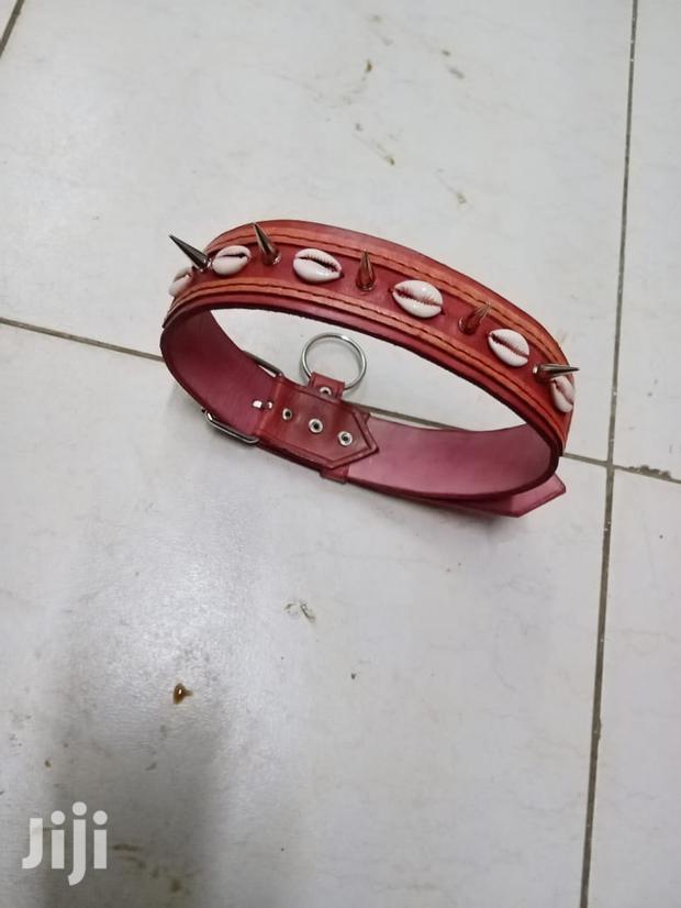 Custom Made Leather Dog Collars - thumbnail 8