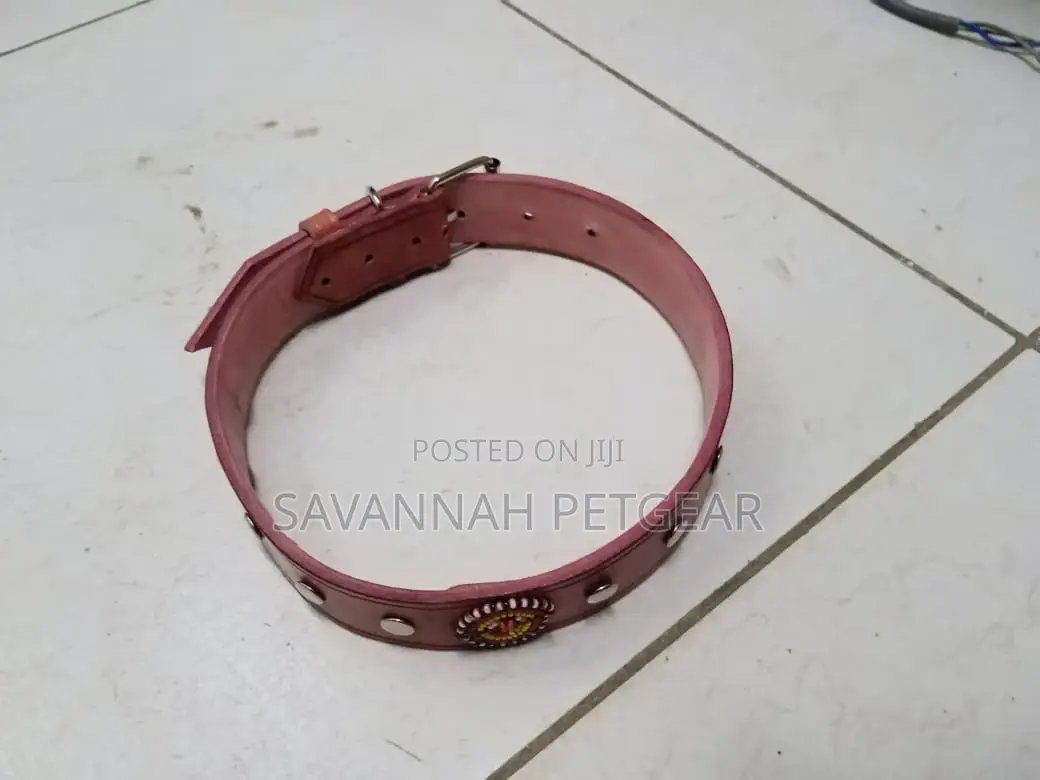 Custom Made Leather Dog Collars