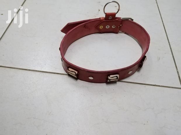 Custom Made Leather Dog Collars - thumbnail 13