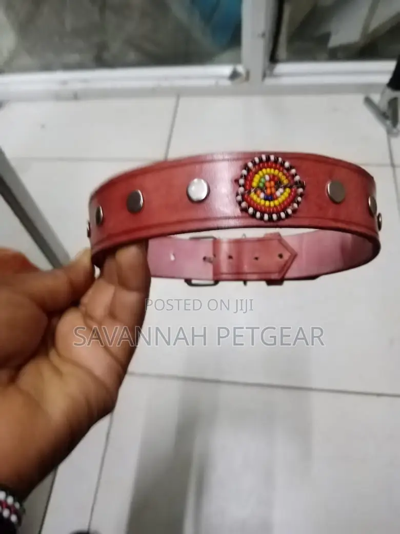 Custom Made Leather Dog Collars