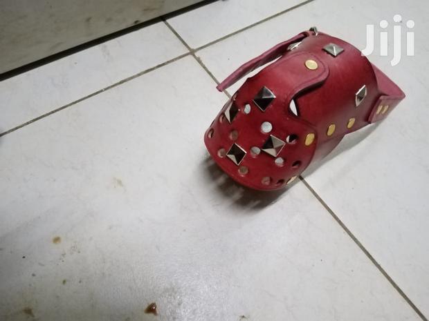 Elegant Leather Dog Muzzle - thumbnail 2