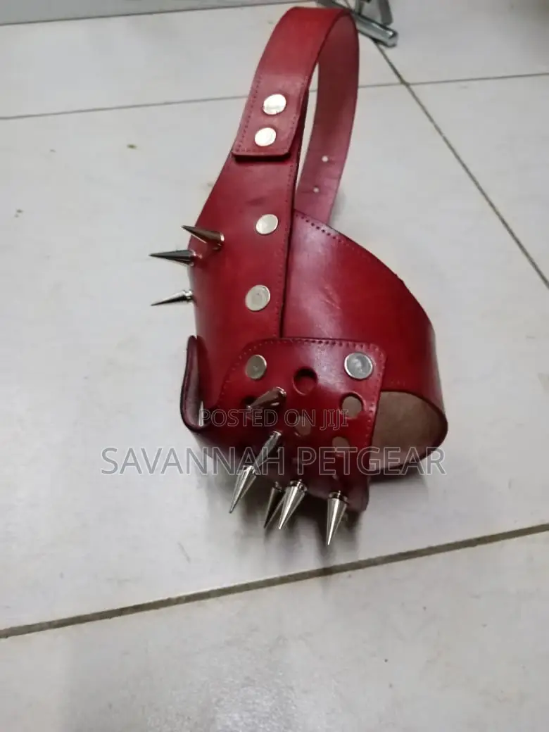 Elegant Leather Dog Muzzle