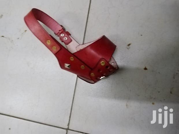Elegant Leather Dog Muzzle - thumbnail 13