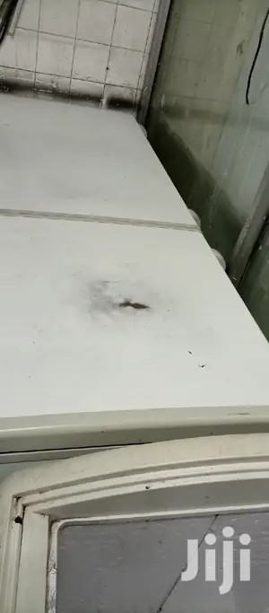 600L Freezer