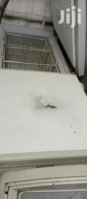 600L Freezer