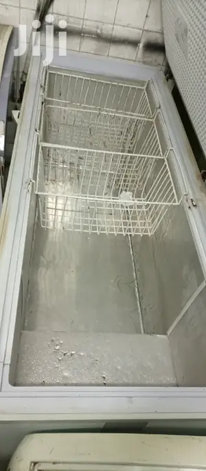 600L Freezer