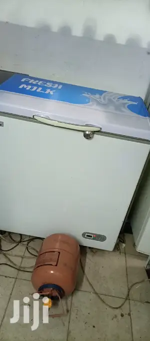 Freezer 250L
