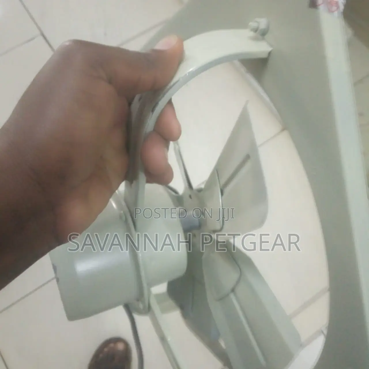 Motors for the Gray Incubator Spare Motor