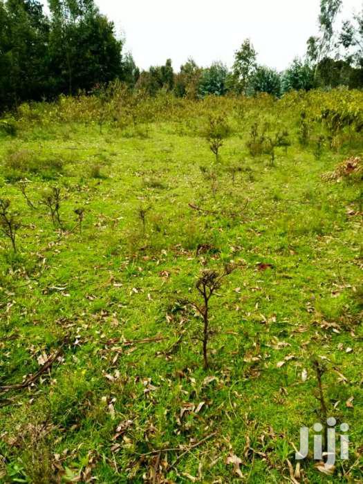 1 Acre for Sale in Tigoni Farydam Estate