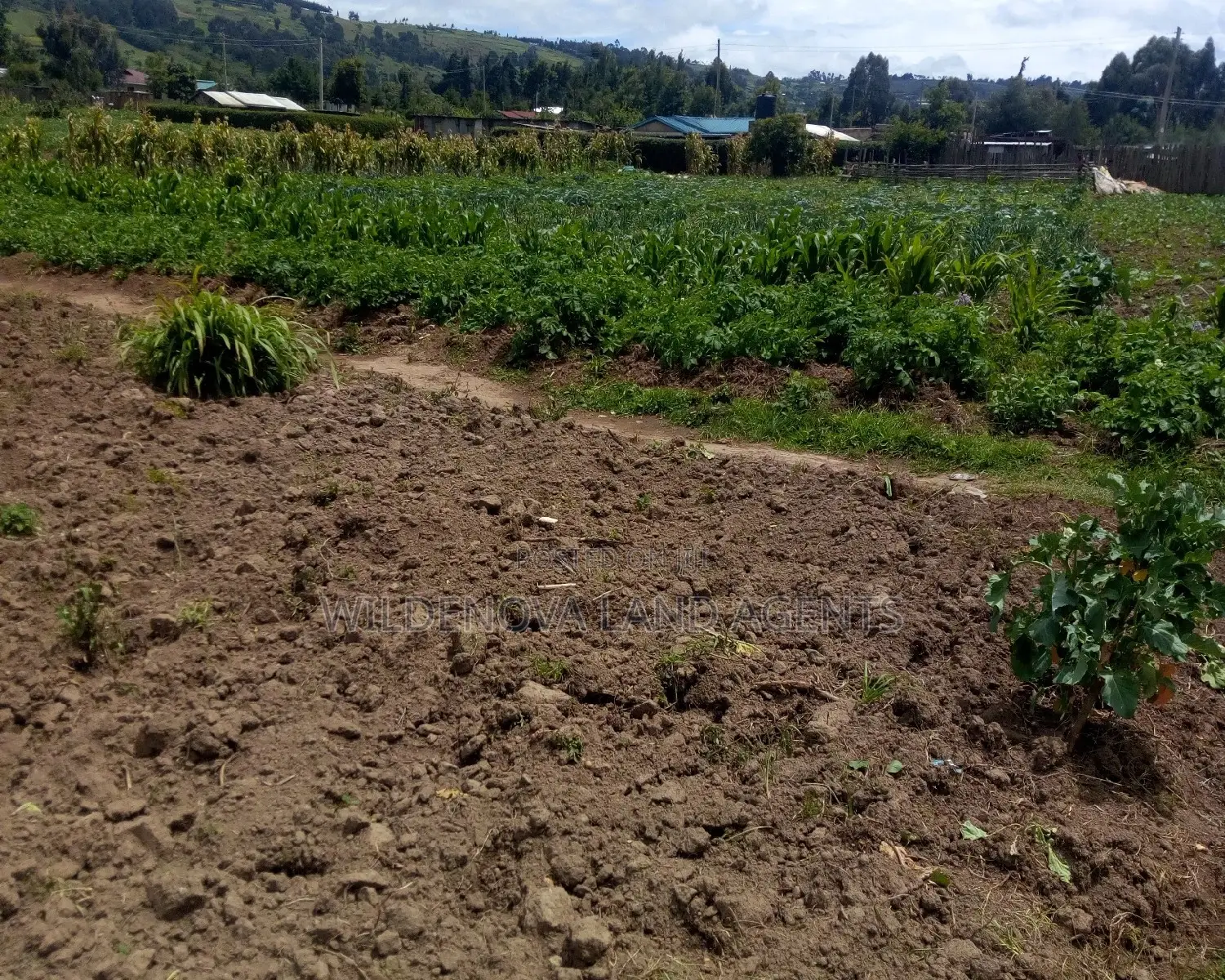Plot on Sale at Ihindu Naivasha